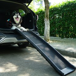 Bencmate Foldable Non-Slip Surface Climbing Ladder Storage Space Dog Ramp, Black, 15.7 x 3.75 x 3.75-in