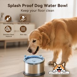 Twinsing Slow Drinking Double Stainless Steel Dog Water Bowl with Anti Slip Mat, Grey, 2 Count, X‑Small: 2.5-L / 84-oz slide 2 of 7