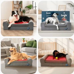 Buddie Therapy Red Light & PEMF Orthopedic Dog Bed slide 2 of 9