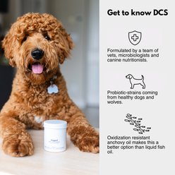 dogged Daily Canine Synbiotic Digestive Health Powdered Supplement for Dogs, 2.12-oz jar slide 2 of 8