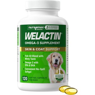 Nutramax Welactin Omega-3 Fish Oil Skin Liquid Softgels Skin & Coat Supplement for Dogs, 120 count slide 1 of 9