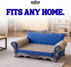 Catfidence Durable Cardboard Cat Lounger Sofa & Scratcher with Catnip, Blue, Large slide 2 of 5