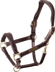 Shires Equestrian Products Rapida Cushioned Leather Horse Headcollar, Havana, Pony