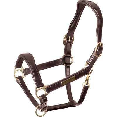 Shires Equestrian Products Shires Equestrian Products Rapida Cushioned Leather Horse Headcollar, Havana, Pony