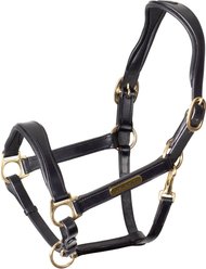 Shires Equestrian Products Rapida Cushioned Leather Horse Headcollar, Black, Pony