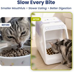 PawsPik Silicone Automatic Microchip RFID Insert Slow-Feed Dog & Cat Bowl slide 2 of 6