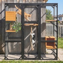 Yafylly Double Door Outdoor Wooden Catio Cat House, Black Brown slide 2 of 7