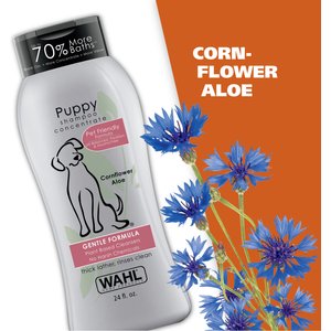 Wahl Gentle Formula Tearless Puppy Shampoo, Cornflower & Aloe Scent, 24-fl oz bottle