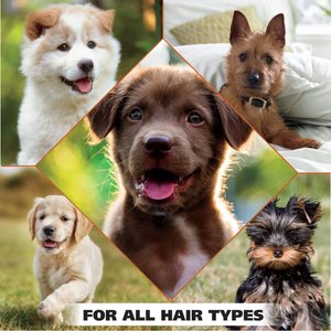Wahl Gentle Formula Tearless Puppy Shampoo, Cornflower & Aloe Scent, 24-fl oz bottle