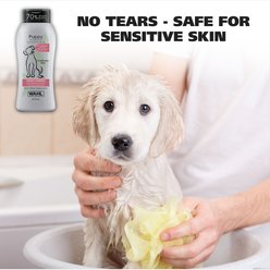 Wahl Gentle Formula Tearless Puppy Shampoo, Cornflower & Aloe Scent, 24-fl oz bottle slide 2 of 9