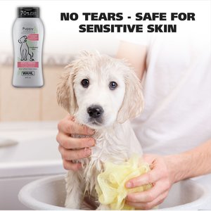 Wahl Gentle Formula Tearless Puppy Shampoo, Cornflower & Aloe Scent, 24-fl oz bottle