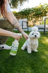 Mosquito Magician Lemongrass Dog Flea & Tick Spray, 16-fl oz bottle slide 2 of 9