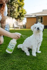 Mosquito Magician Cedarwood Dog Flea & Tick Spray, 16-fl oz bottle slide 2 of 9