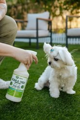 Mosquito Magician Lemongrass Dog Flea & Tick Spray, 32-fl oz bottle slide 2 of 9