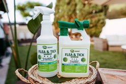 Mosquito Magician Hose End Outdoor Mint Dog Flea & Tick Spray, 32-fl oz bottle slide 2 of 8