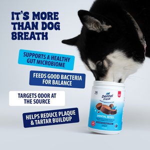 Dental Fresh Soft Chew Dental Supplement for Dogs, 120 count
