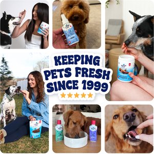 Dental Fresh Soft Chew Dental Supplement for Dogs, 120 count