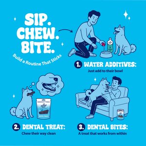 Dental Fresh Soft Chew Dental Supplement for Dogs, 120 count