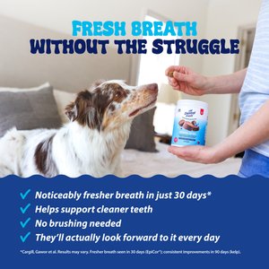 Dental Fresh Soft Chew Dental Supplement for Dogs, 120 count