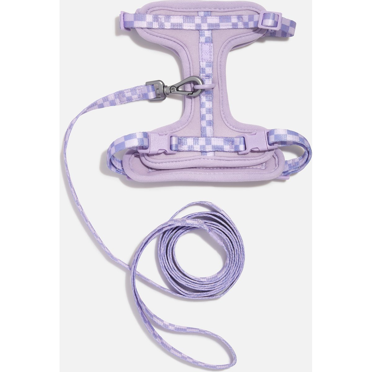 Wild One Kitten Harness & Leash Kit, 11 to 18-in chest, Lilac