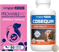 Nutramax Cosequin Maximum Strength Plus MSM Chewable Tablets Joint Supplement + Nutramax Proviable-DC Capsules Digestive Supplement for Dogs