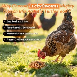 LuckyQworms Mighty Crunch MixHigh Protein Dry Food Chicken, Reptiles & Amphibians Treats, 1-lb bag slide 2 of 7