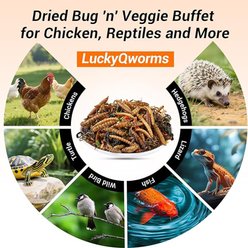 LuckyQworms Bug 'n' Veggie Buffet Mealworms, BSFL & Veggies Blend High Protein Dry Food Poultry Treats, 1-lb bag slide 2 of 7