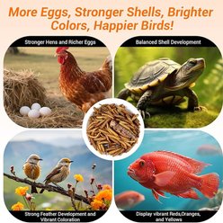 LuckyQworms the Ultimate Bug Blend Insect Trail Mix High Protein Dry Food Poultry Treats, 1-lb bag slide 2 of 7