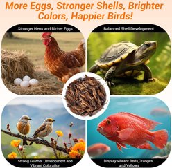 LuckyQworms Dried Crickets All Natural Insect High Protein Dry Food Chicken Treats, 1-lb bag slide 2 of 7