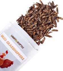 LuckyQworms No Additives Dried Grasshoppers High Protein Dry Food Chicken Treats, 1-lb bag slide 2 of 9