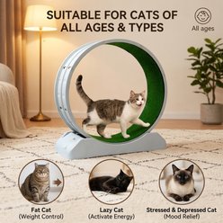 FURDEAR 48-in Exercise Wheel Cat Toy, Gray slide 2 of 9