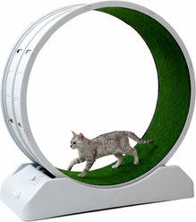 FURDEAR 48-in Exercise Wheel Cat Toy, Gray