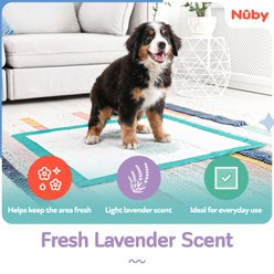 Nuby Ultra-Absorbent Lavender Scented Training Dog Pee Pads, 22 x 22-in, 100 count