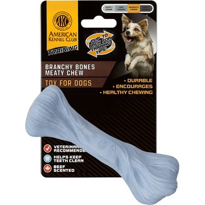 American Kennel Club American Kennel Club Polypropylene Bone Durable Beef Scented Training Dog Chew Toy, Large, Blue