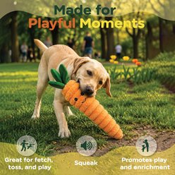 Bow-Wow Pet Squeaky Plush Carrot Dog Toy slide 2 of 4