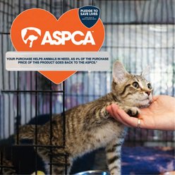 ASPCA Indoor Natural Sisal Rope Durable Climbing Tower 4.5-in Cat Scratching Post with Hanging Teaser, Pink slide 2 of 7