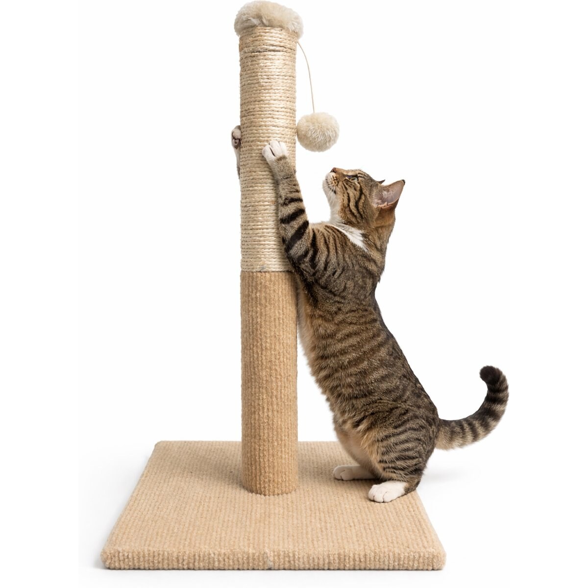 ASPCA Indoor Natural Sisal Rope Durable Climbing Tower 4.5-in Cat Scratching Post with Hanging Teaser, Tan