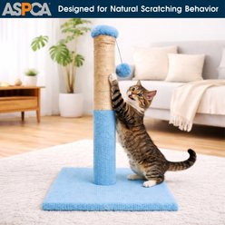 ASPCA Indoor Natural Sisal Rope Durable Climbing Tower 4.5-in Cat Scratching Post with Hanging Teaser, Blue slide 2 of 6