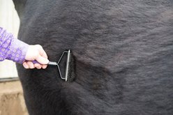 Weaver Livestock Farm Animal Shedding Comb slide 2 of 7