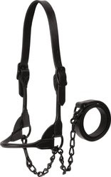 Weaver Livestock Black Magic Show Cattle Halter, Medium