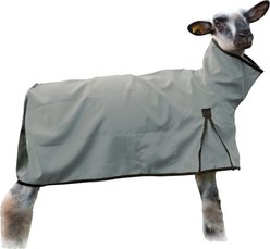 Weaver Livestock Mesh Butt Sheep Blanket, Gray, Medium