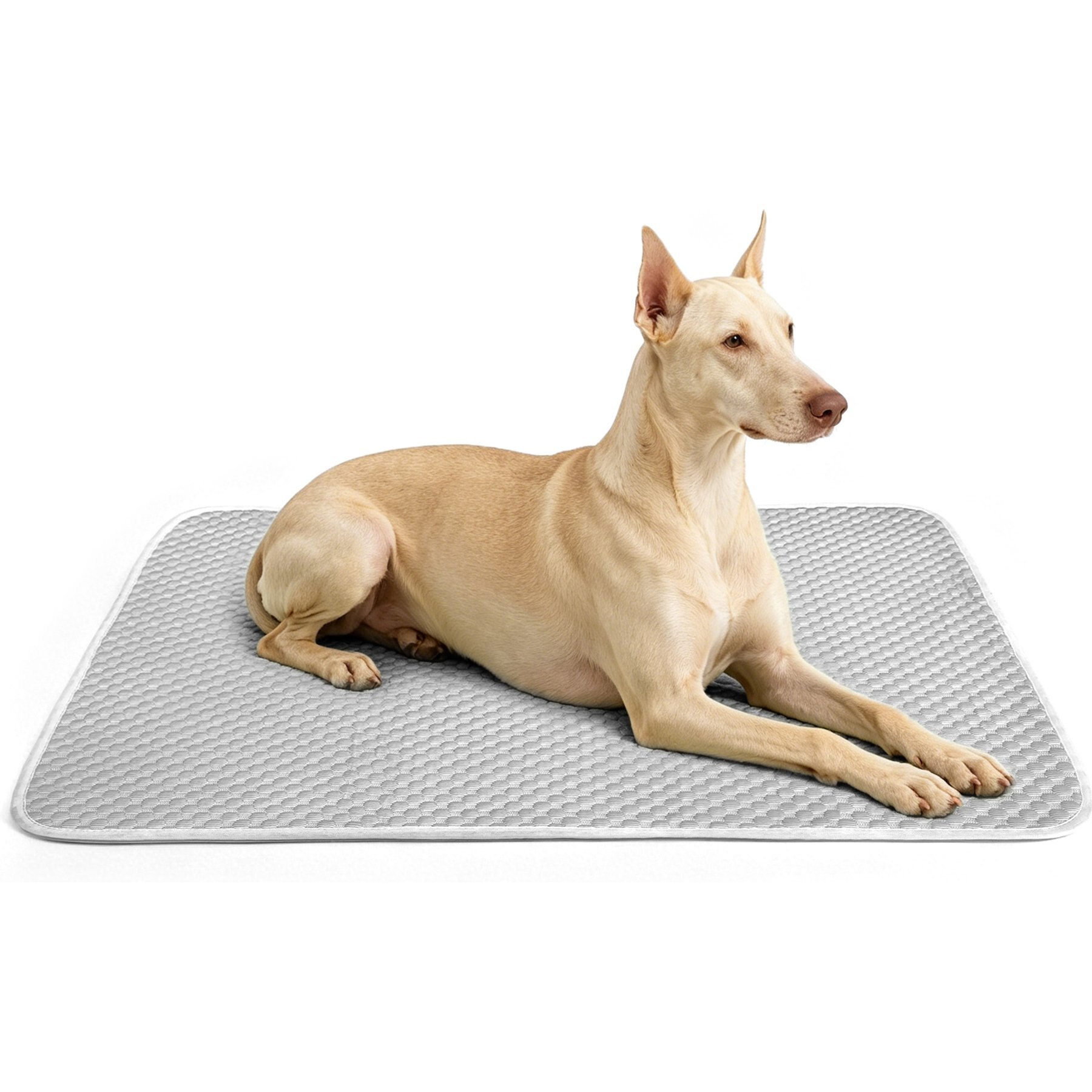 Golopet Detachable Washable Cooling Dog Crate Mat, Grey, Large: 39 x 27-in