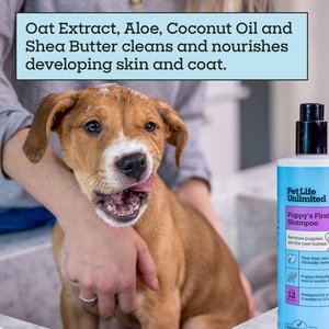 Pet Life Unlimited Puppy's First Deep-Cleaning Warm Vanilla Dog Shampoo, 16-fl oz bottle