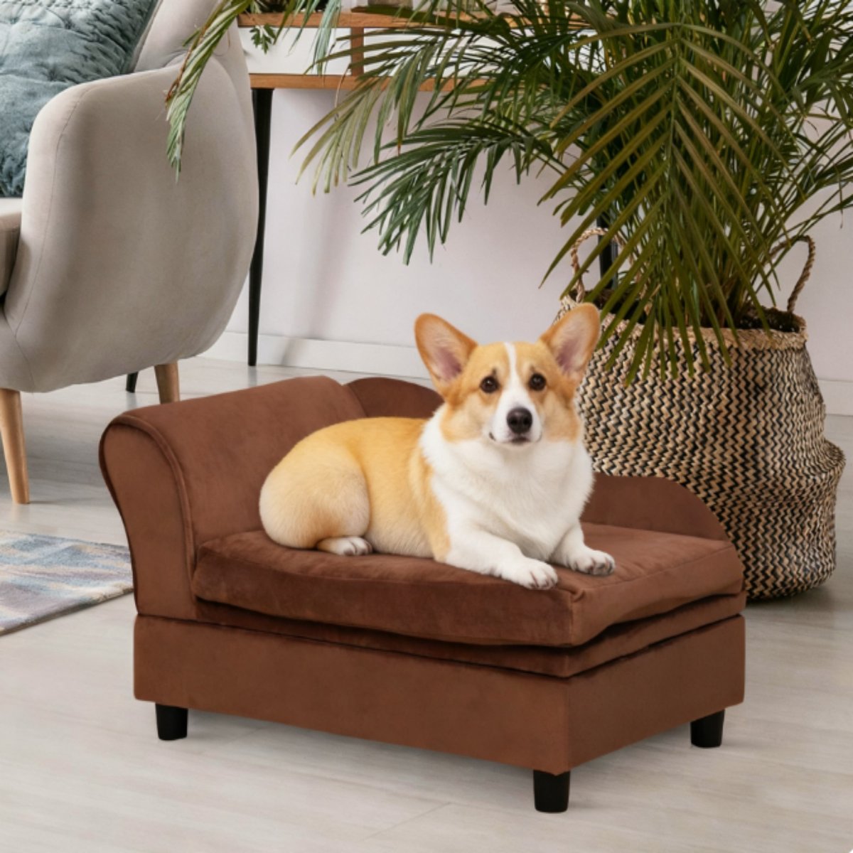 Bencmate Elegant Chaise Lounge Novelty Elevated Dog Bed, Brown