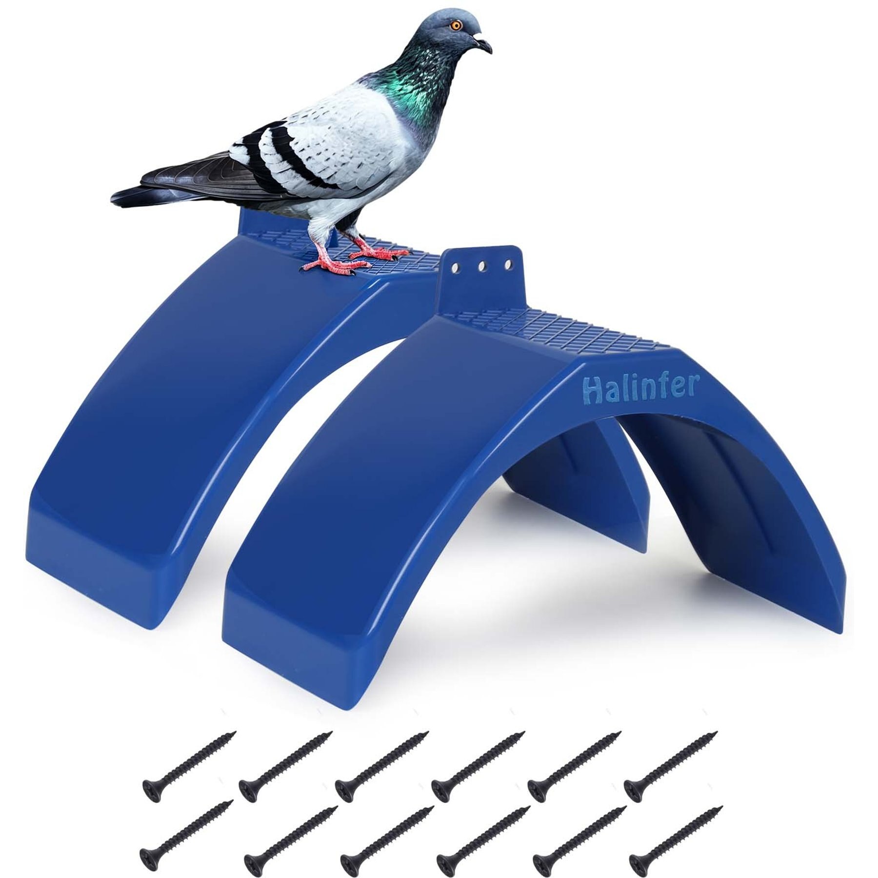Halinfer Lightweight 2-Piece Pigeon Stand, Blue
