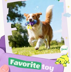 Kseroo Interactive Play Bacon Flavor Nylon & Rubber Chameleon Squeaky Tough Chew Dog Toy, Purple slide 2 of 8