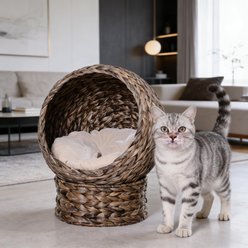 Bencmate Woven Rattan Novelty Elevated Cat Bed, Brown