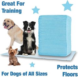 Spike & Stella Protector Dog Training Pads, Light Blue, Large: 22 x 22-in, 100 count slide 2 of 4