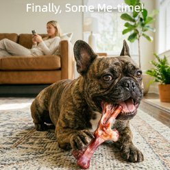 Kseroo ChienBox Bacon Flavor Nylon Birthday Gift Set Tough Chew Dog Toy, Brown, 3 count slide 2 of 7