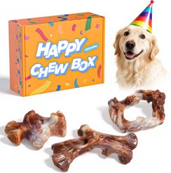Kseroo ChienBox Bacon Flavor Nylon Birthday Gift Set Tough Chew Dog Toy, Brown, 3 count